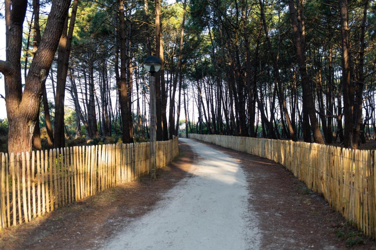 Отель The Spot Surfcamp Бискаррос Экстерьер фото
